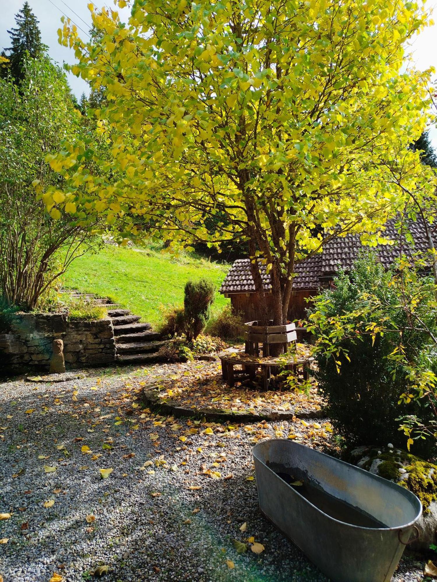 Sonnenhof Wengen - First Hotel Of וונגן מראה חיצוני תמונה
